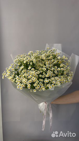 Цветы Букет из ромашек