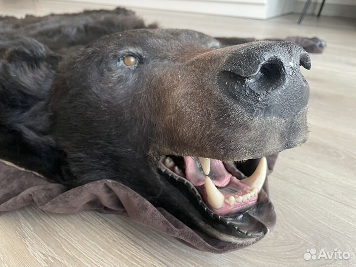 Ковер шкура медведя (иммитация)