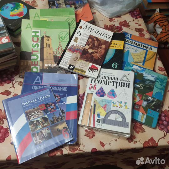 Учебники 6 класс (2 учебника за 7 класс)