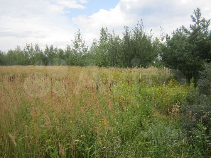 Участок 9,5 сот. (СНТ, ДНП)