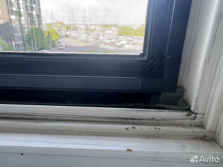 Москитные Сетки без сверления в велтон парк