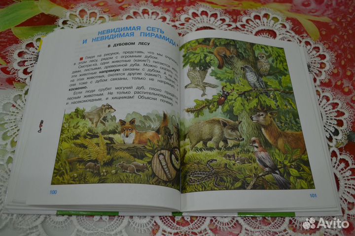 Учебник 2 части 