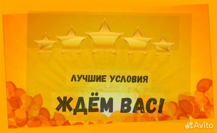 Сортировщик Еженедельный аванс Спецодежда М/Ж