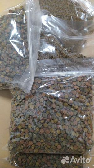 Малавийские цихлиды