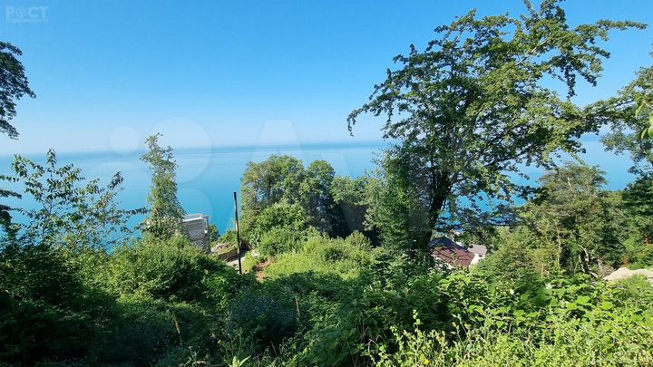 Участок 4,6 сот. (СНТ, ДНП)