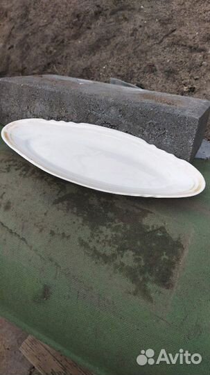 Селодочница фарфор