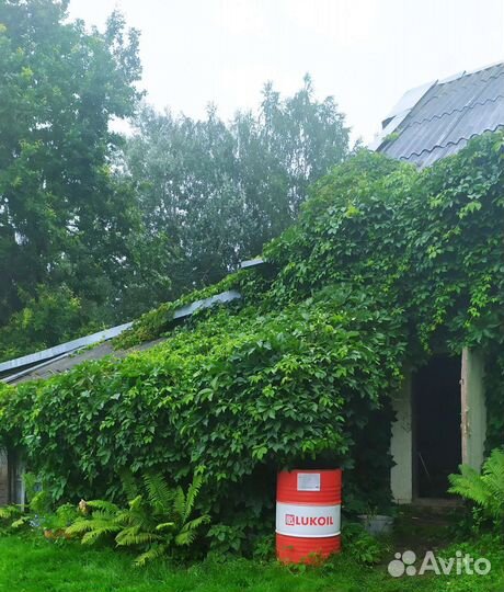 Многолетники:цветы,кусты,деревья