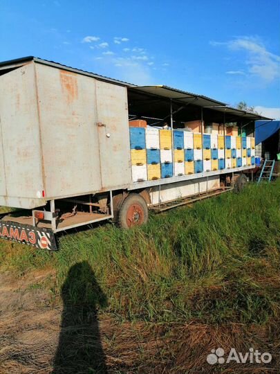 Прицеп пчеловоз, 1994