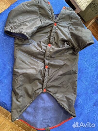 Попона для собак