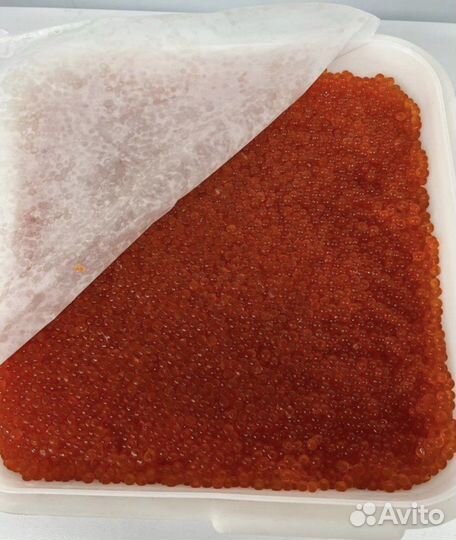 Икра Кижуча Камчатка 2024