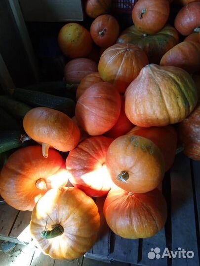 Тыква, картофель