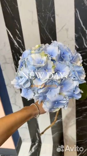 Администратор салона красоты