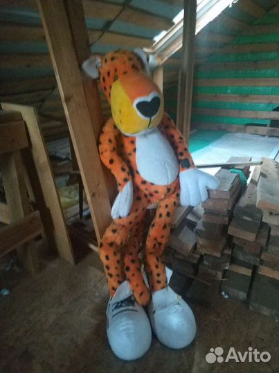Огромный Честер из Читос