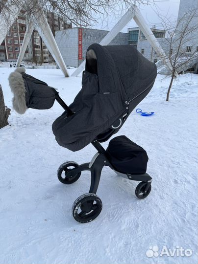 Stokke. Зимний кит