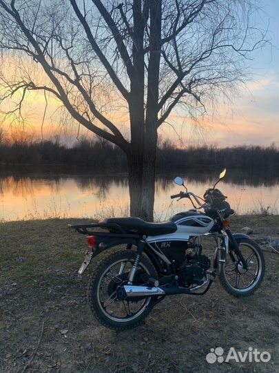 Alpha rx 110 2021