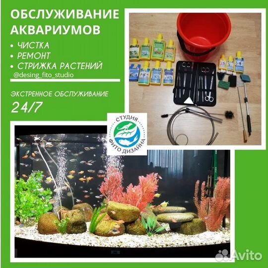 Обслуживание аквариума