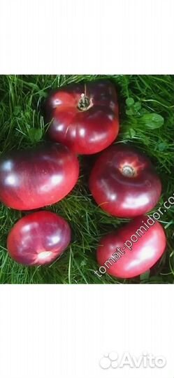 Томаты биколоры