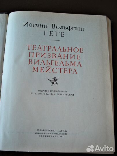 Литературные памятники Овидий, Гете