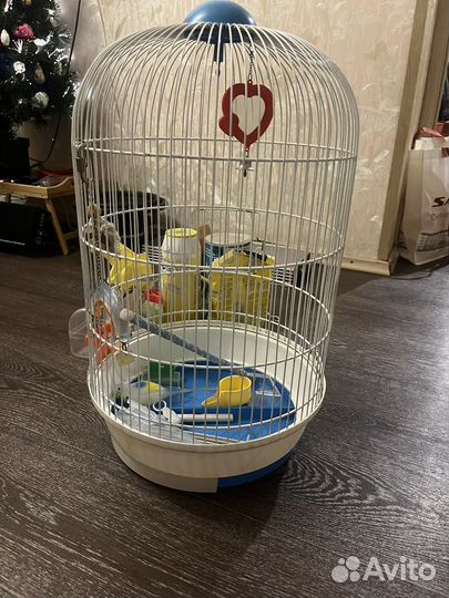 Клетка для попугая
