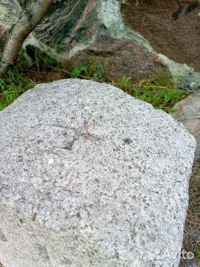 Антикварные столбы Кёнигсберга