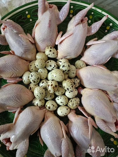 Яйцо перепелиное