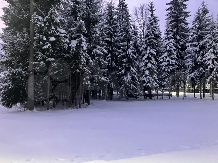 Участок 10,5 сот. (СНТ, ДНП)