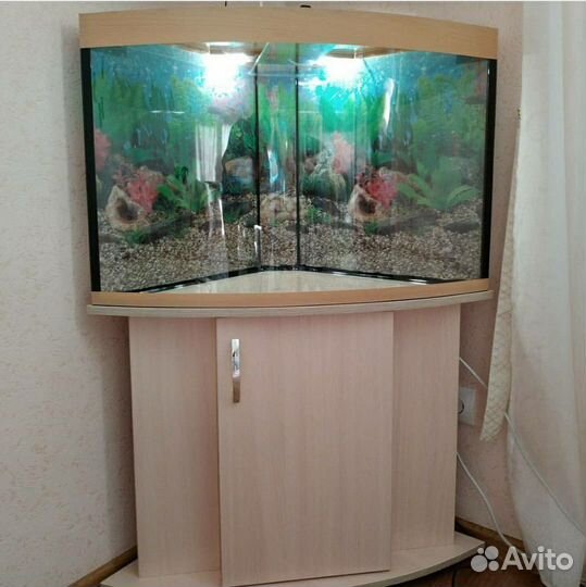 Угловые аквариумы любых размеров