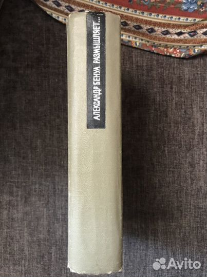 Александр Бенуа размышляет