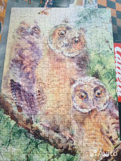 Пазл совы 500 Puzzle