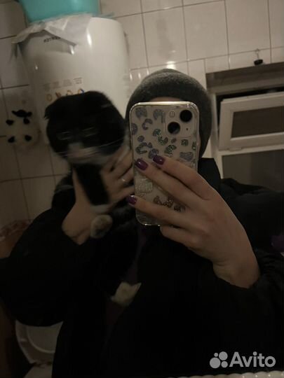 Найден кот чёрный вислоухий