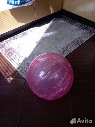 Шар для грызунов