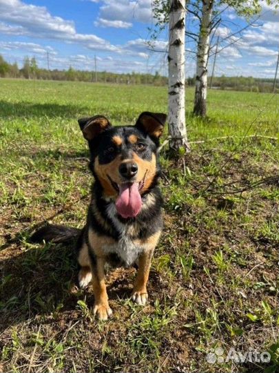 Характер чудо