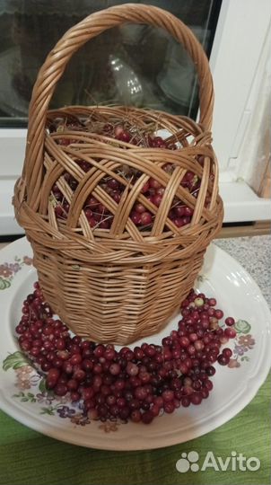 Клюква