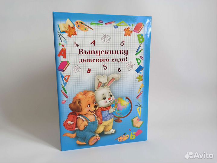 Папка Выпускнику детского сада А4 без файлов