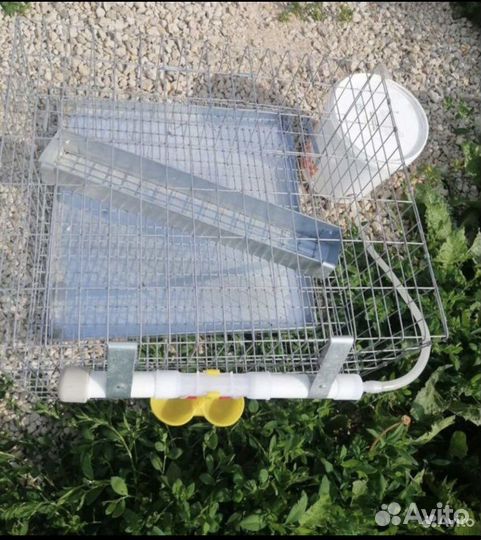 Клетка для перепелок