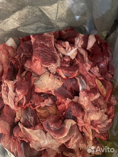 Обрезь говяжья для собак