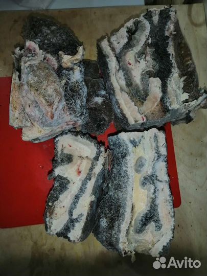 Мясо и субпродукты(говядина) для собак Зеленогорск