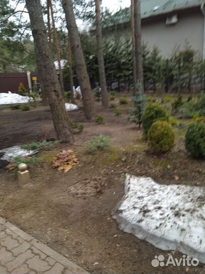 Ищу работу Капат ламат касит пакрасит и другое