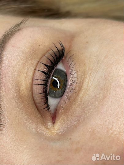 Ламинирование+Botox+ окрашивание ресниц