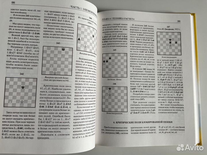 Шахматы. Майзелис