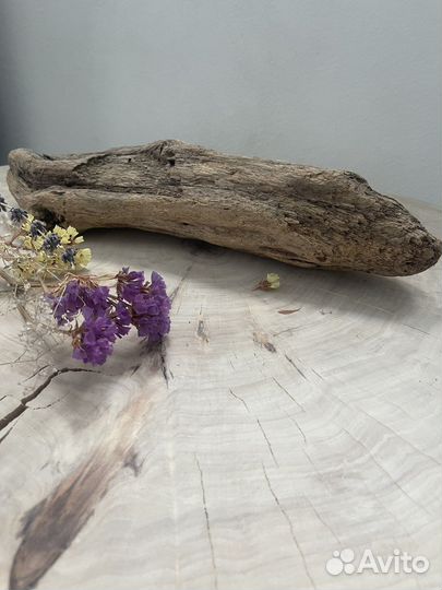 Дрифтвуд Морская коряга
