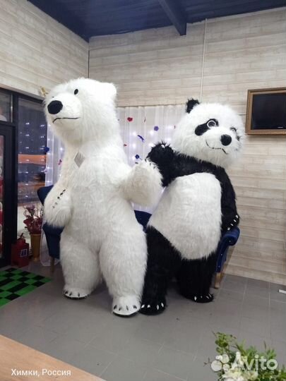 Поздравление мишки и панды