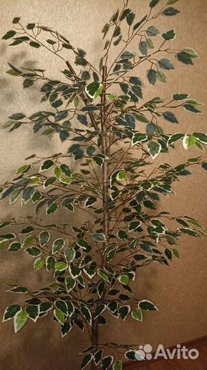 Искусственное дерево Фикус Бенджамина