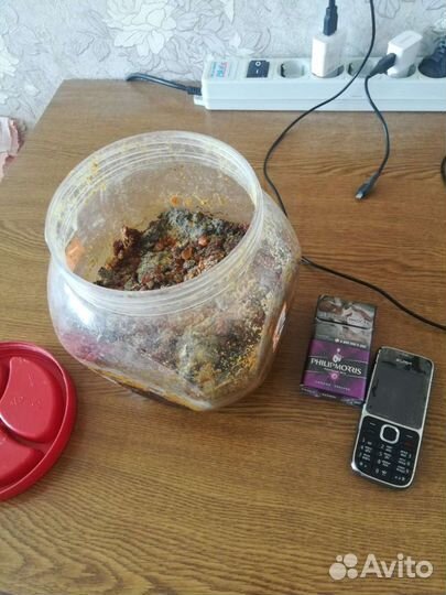 Канифоль сосновая