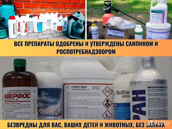 Дезинфекция / Уничтожение тараканов клопов плесени