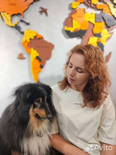 Услуги кинолога (специалист по поведению собак)