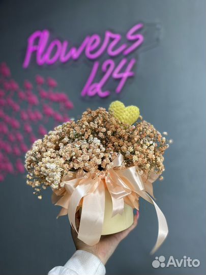 Гипсофила, Цветы, Flowers124