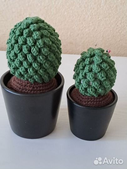 Кактус вязаный