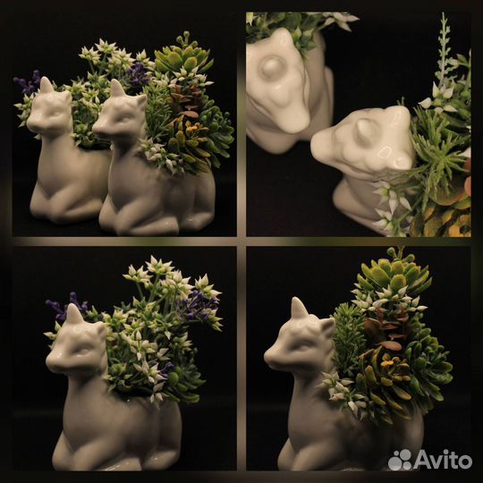 Предметный фотограф