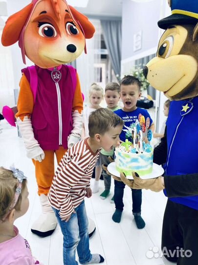 Аниматоры Щенячий патруль Красноярск